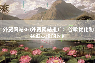 外贸网站SEO外贸网站推广：谷歌优化和谷歌竞价的区别