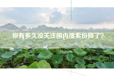 你有多久没关注国内搜索份额了？