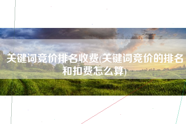 关键词竞价排名收费(关键词竞价的排名和扣费怎么算)