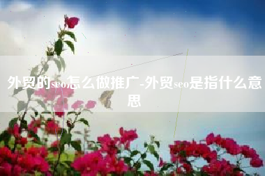 外贸的seo怎么做推广-外贸seo是指什么意思