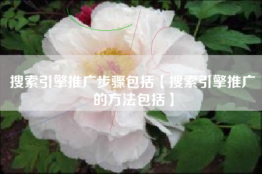搜索引擎推广步骤包括【搜索引擎推广的方法包括】