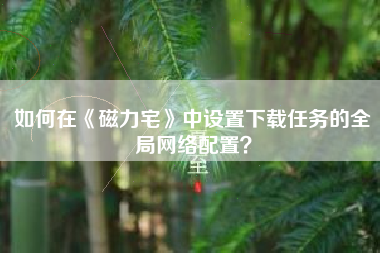 如何在《磁力宅》中设置下载任务的全局网络配置？