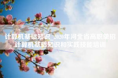 计算机基础知识_2020年河北省高职单招计算机基础知识和实践技能培训