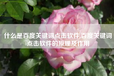 什么是百度关键词点击软件,百度关键词点击软件的原理及作用