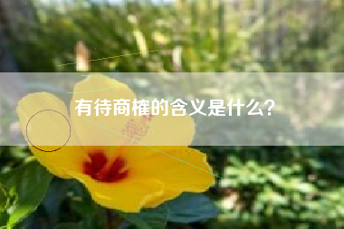 有待商榷的含义是什么？