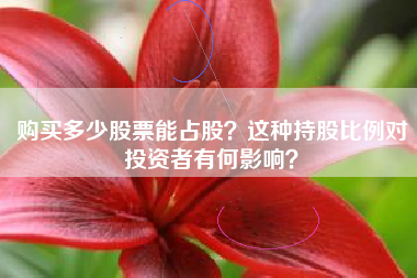购买多少股票能占股？这种持股比例对投资者有何影响？