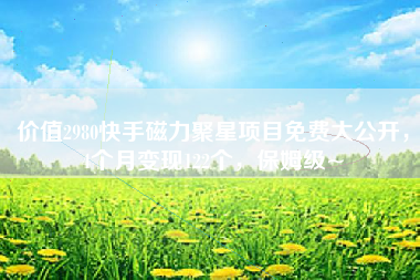 价值2980快手磁力聚星项目免费大公开，4个月变现122个，保姆级~