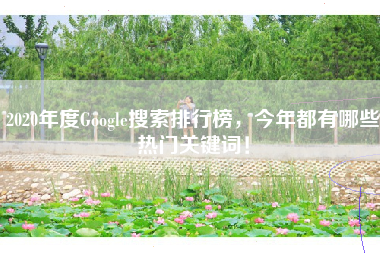 2020年度Google搜索排行榜，今年都有哪些热门关键词！