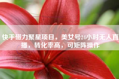 快手磁力聚星项目，美女号24小时无人直播，转化率高，可矩阵操作