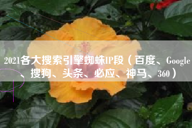 2021各大搜索引擎蜘蛛IP段（百度、Google、搜狗、头条、必应、神马、360）
