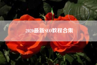 2020最新SEO教程合集