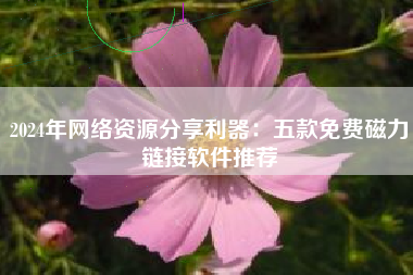 2024年网络资源分享利器：五款免费磁力链接软件推荐