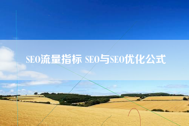 SEO流量指标 SEO与SEO优化公式