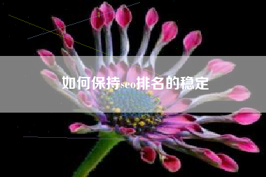 如何保持seo排名的稳定