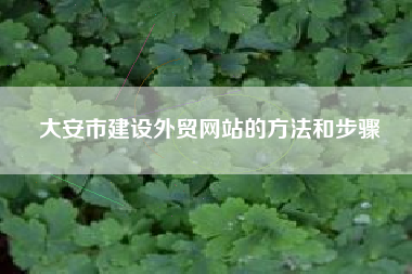 大安市建设外贸网站的方法和步骤