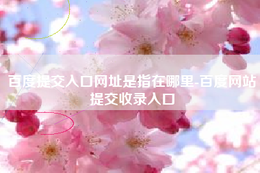 百度提交入口网址是指在哪里-百度网站提交收录入口