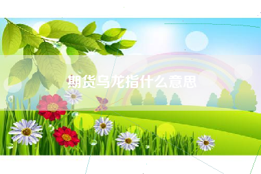 期货乌龙指什么意思