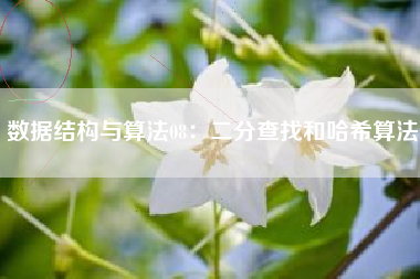 数据结构与算法08：二分查找和哈希算法