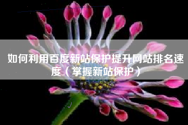如何利用百度新站保护提升网站排名速度（掌握新站保护）