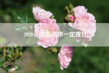 2020，这些词你一定搜过