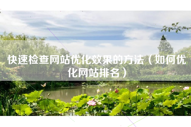 快速检查网站优化效果的方法（如何优化网站排名）