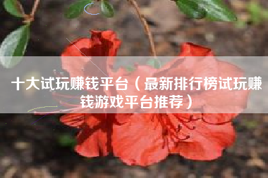 十大试玩赚钱平台（最新排行榜试玩赚钱游戏平台推荐）