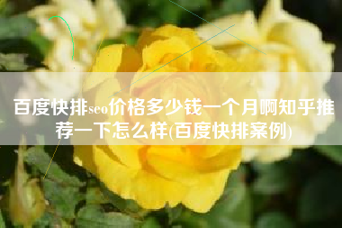 百度快排seo价格多少钱一个月啊知乎推荐一下怎么样(百度快排案例)