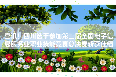 喜讯！四川选手参加第三届全国电子信息服务业职业技能竞赛总决赛斩获佳绩