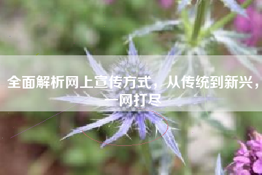 全面解析网上宣传方式，从传统到新兴，一网打尽