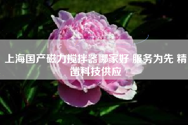 上海国产磁力搅拌器哪家好 服务为先 精凿科技供应