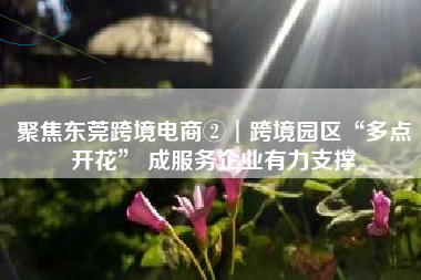 聚焦东莞跨境电商②︱跨境园区“多点开花” 成服务企业有力支撑