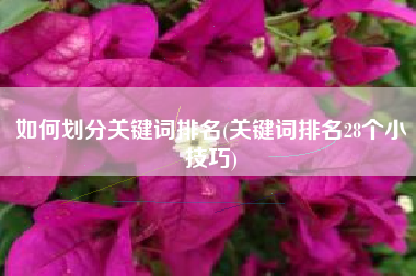 如何划分关键词排名(关键词排名28个小技巧)