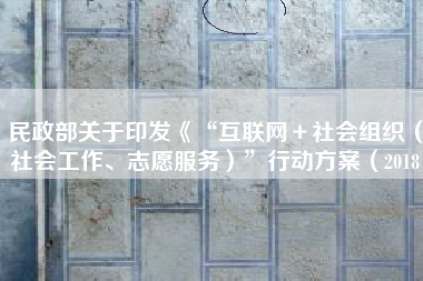 民政部关于印发《“互联网＋社会组织（社会工作、志愿服务）”行动方案（2018