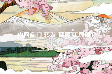 内网端口 转发 穿透 工具简介 内网端口 转发 穿透 工具简介