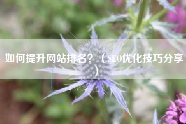 如何提升网站排名？（SEO优化技巧分享）