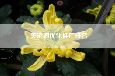 关键词优化推广排名