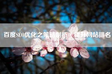 百度SEO优化之策略剖析（提升网站排名）