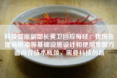 科技部原副部长黄卫回应每经：我国在提高桥梁等基础设施设计和使用年限方面尚存技术瓶颈，需要科技创新