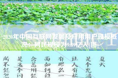 2020年中国互联网发展及应用用户规模概况：网民规模为9.89亿人[图]