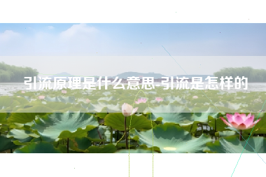引流原理是什么意思-引流是怎样的