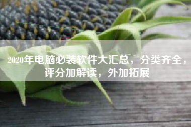 2020年电脑必装软件大汇总，分类齐全，评分加解读，外加拓展