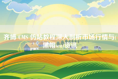 齐博 CMS 仿站教程深入剖析市场行情与(黑帽seo)资讯
