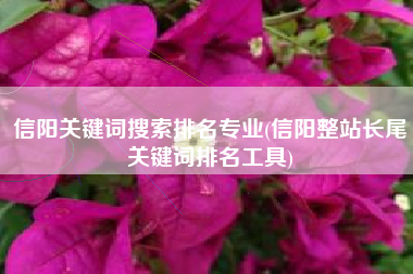 信阳关键词搜索排名专业(信阳整站长尾关键词排名工具)