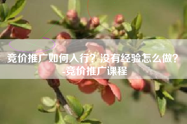 竞价推广如何入行？没有经验怎么做？ -竞价推广课程