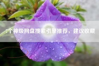 7个神级网盘搜索引擎推荐，建议收藏