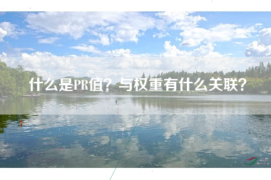 什么是PR值？与权重有什么关联？