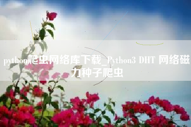 python爬虫网络库下载_Python3 DHT 网络磁力种子爬虫