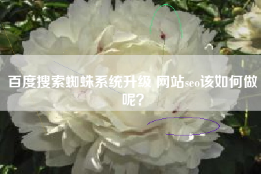 百度搜索蜘蛛系统升级 网站seo该如何做呢？