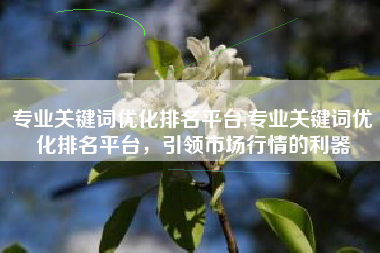 专业关键词优化排名平台,专业关键词优化排名平台，引领市场行情的利器
