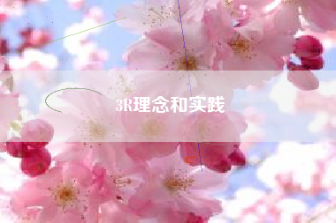 3R理念和实践 3R理念和实践